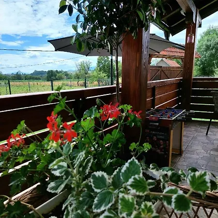 Sunny Funny House Villa Cacak Exterior photo