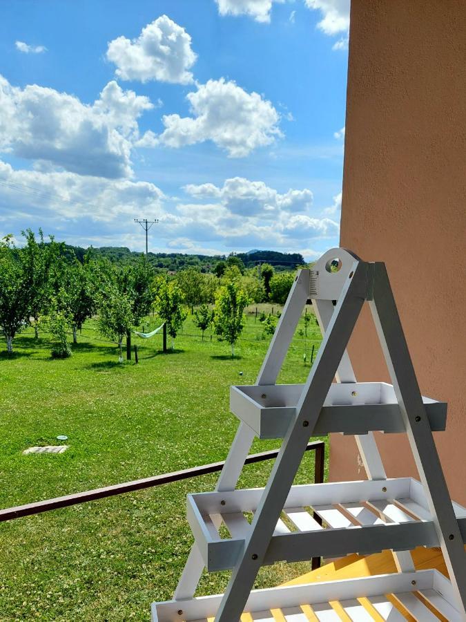 Sunny Funny House * Cacak