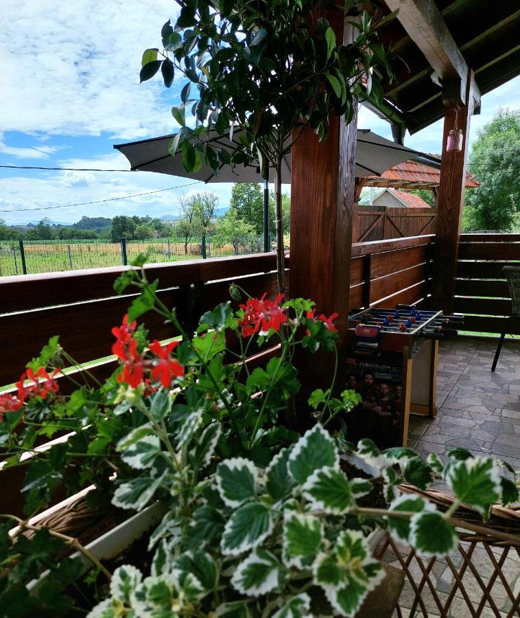 Sunny Funny House Cacak